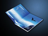 深圳畫(huà)冊(cè)設(shè)計(jì)
